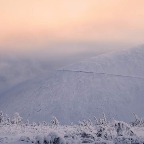 Photo #13194913