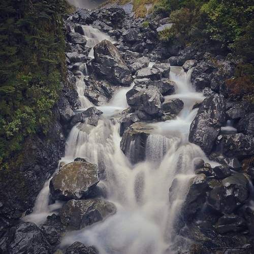 Photo #13195012