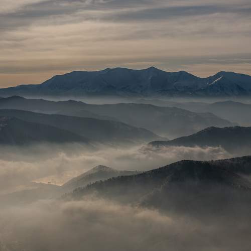 Photo #13195102