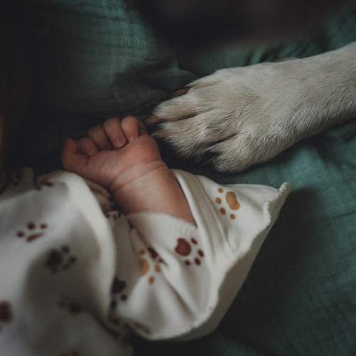 Photo #13195154