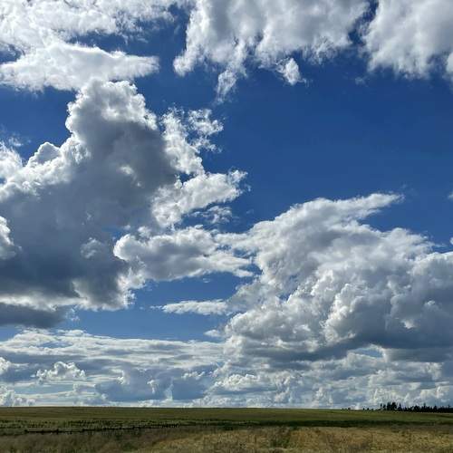 Photo #13195191