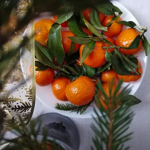 Photo #13195258