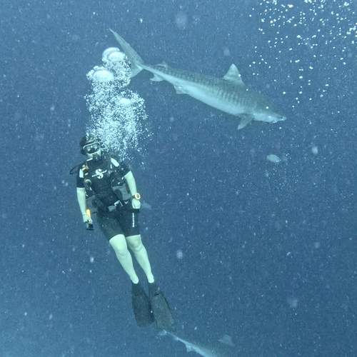 Photo #13195600
