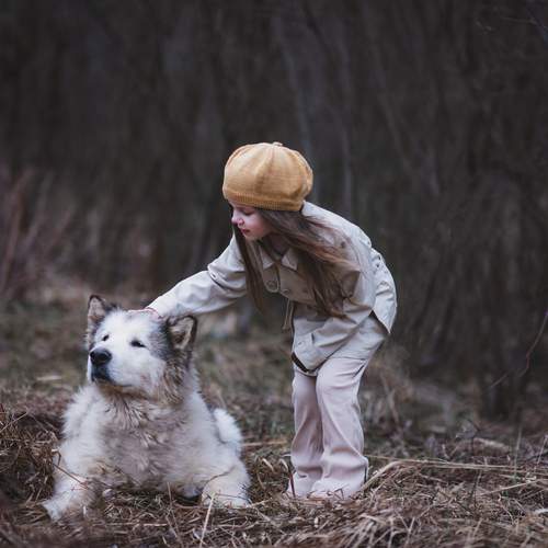 Photo #13195644