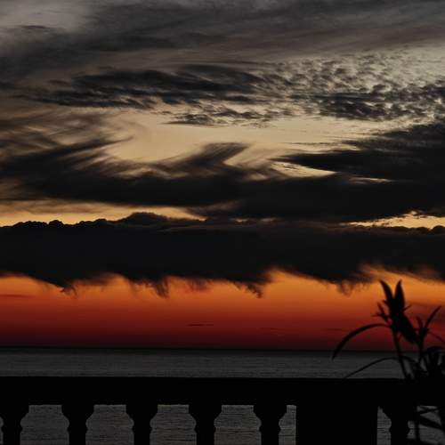 Photo #13195808