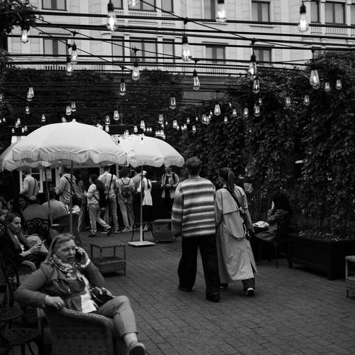 Photo #13195865