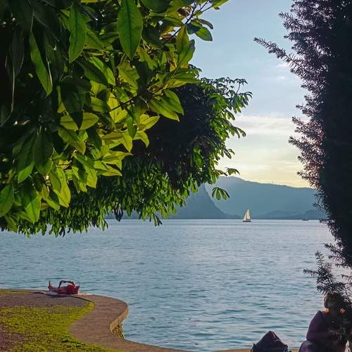 Photo #13196051