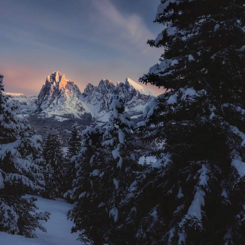 Photo #13196072