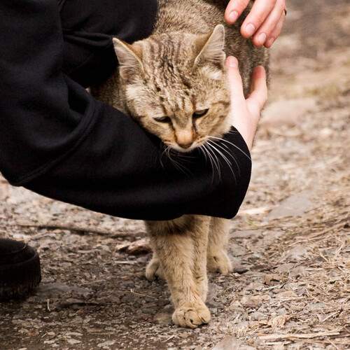 Photo #13196105