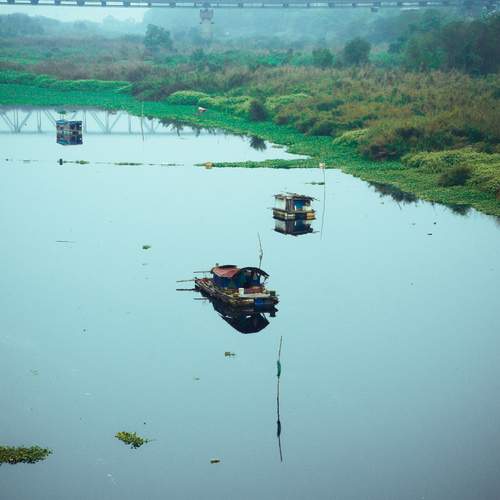 Photo #13196185
