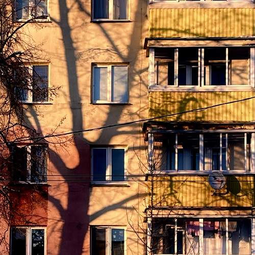 Фотография #13196257