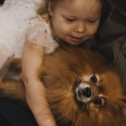 Photo #13196335