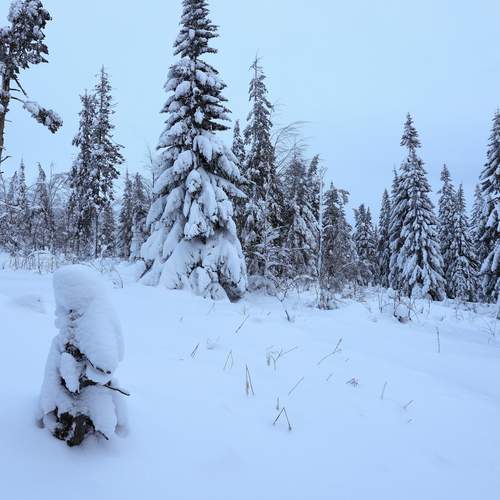 Photo #13196354