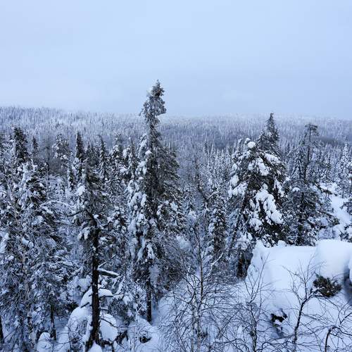 Photo #13196413