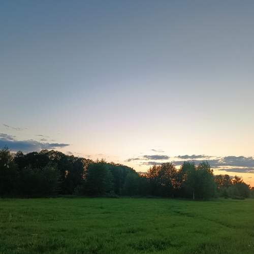 Photo #13196439