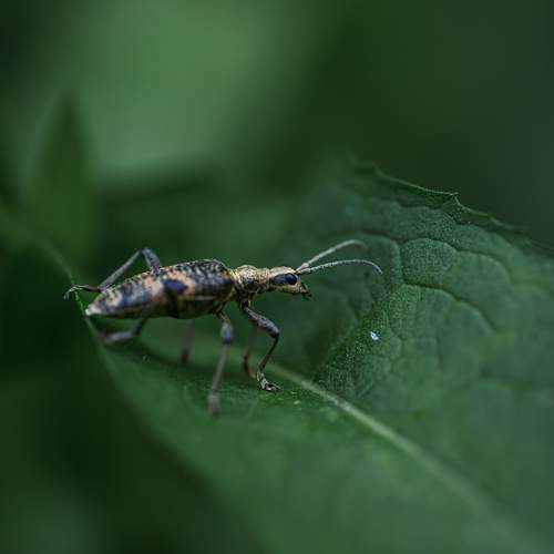 Фотография #13196450