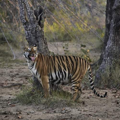 Photo #13196598