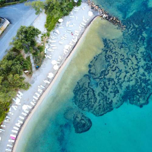 Фотография #13196606