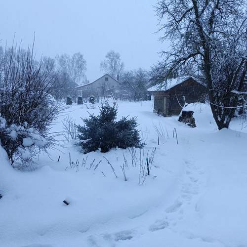Photo #13196686