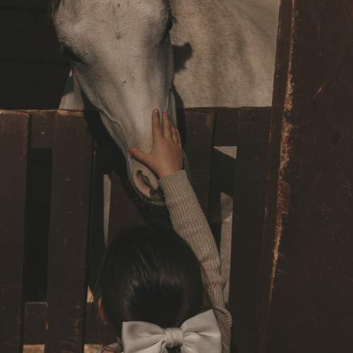 Photo #13196715