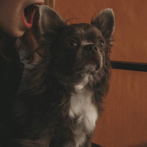 Photo #13196762