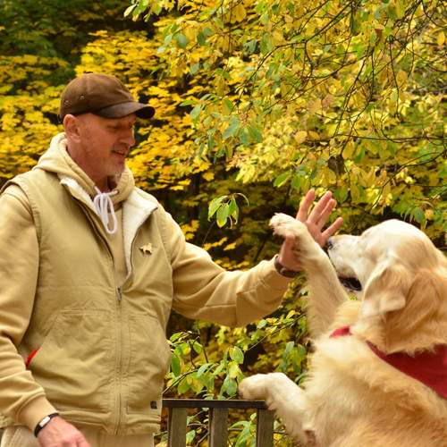Photo #13196938