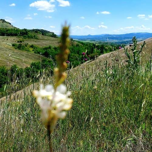 Photo #13197000