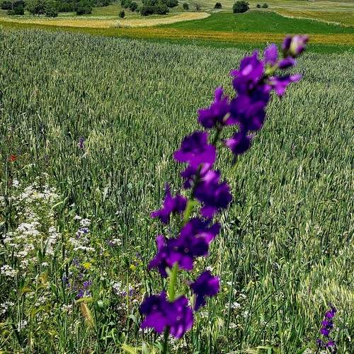 Photo #13197001