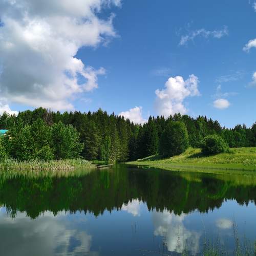 Photo #13197060