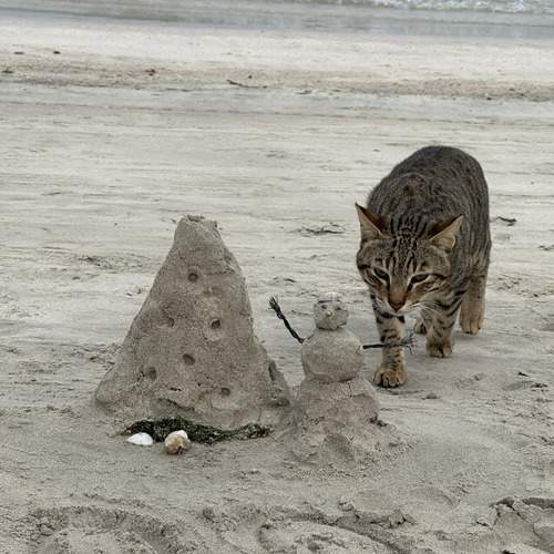 Photo #13197211