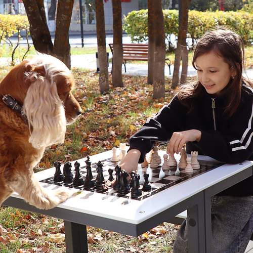 Photo #13197256