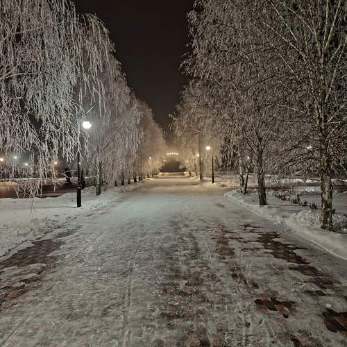 Photo #13197381