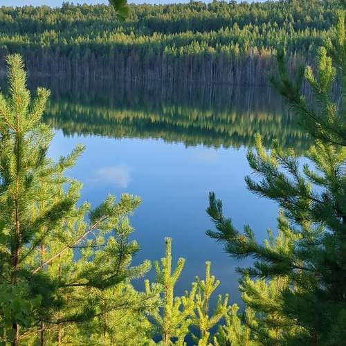 Photo #13197518