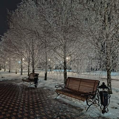 Photo #13197532