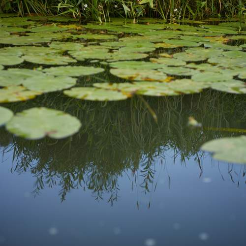 Photo #13197554