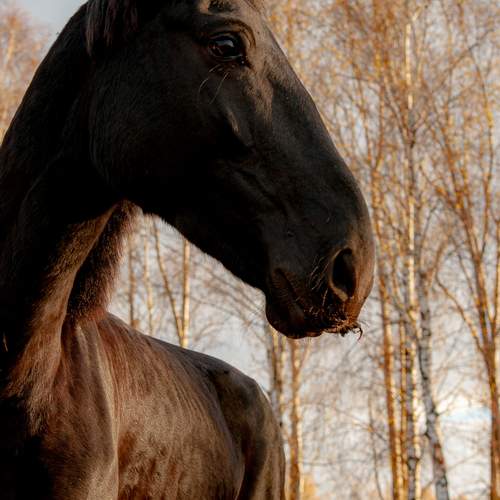 Photo #13197562