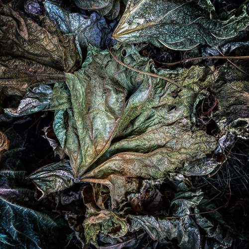 Photo #13197633