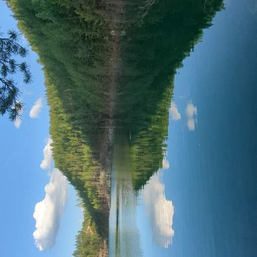Photo #13197690