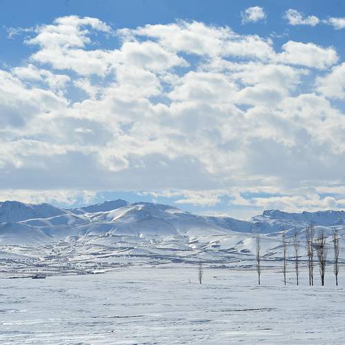 Photo #13197854
