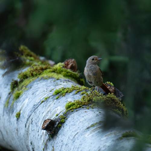 Photo #13197869