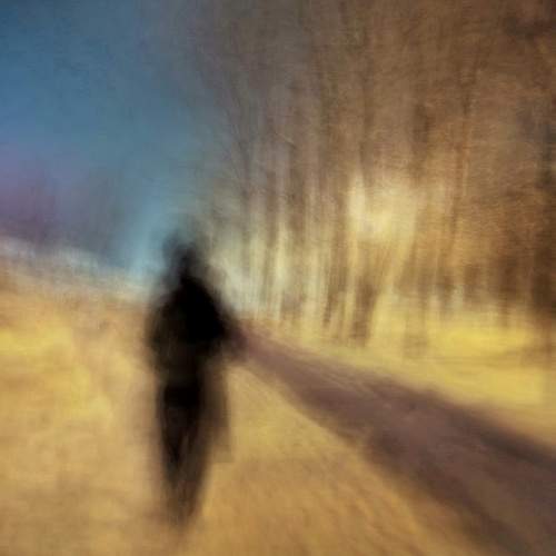 Photo #13197878
