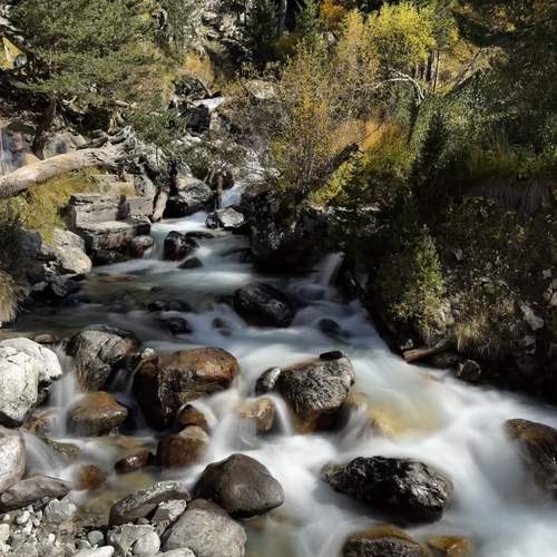 Photo #13197883