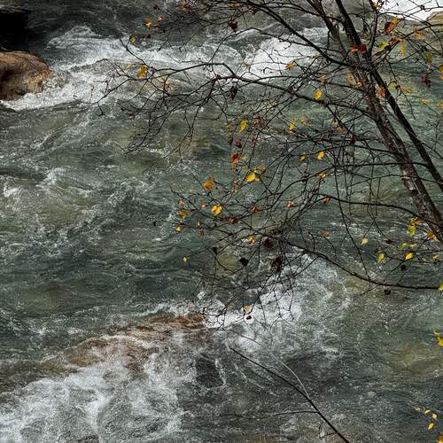 Photo #13197884