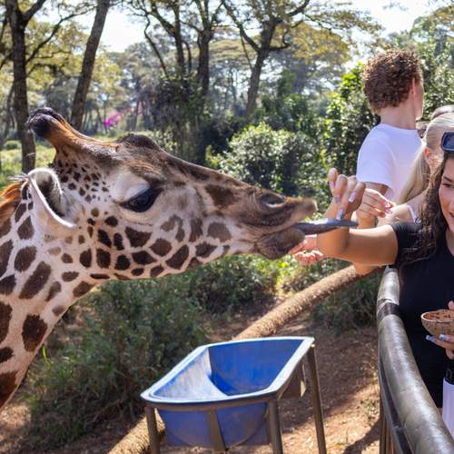 Photo #13197969