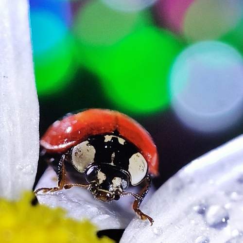 Photo #13198038
