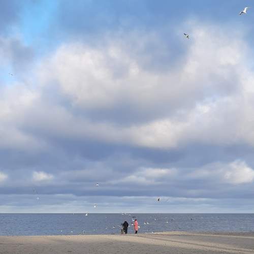 Photo #13198089