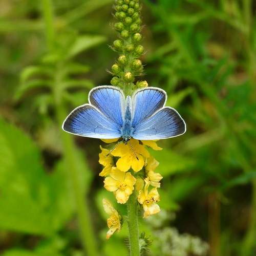 Photo #13198136