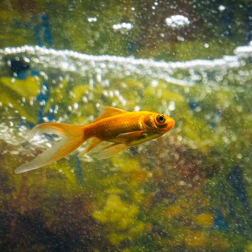 Photo #13198551