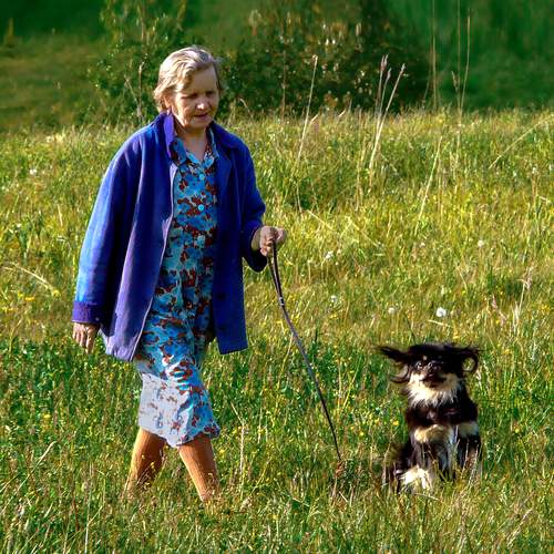Photo #13198585