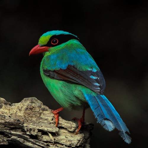 Nature\\\'s pallette!!